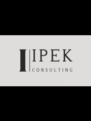 Consultant Tayfun Ipek