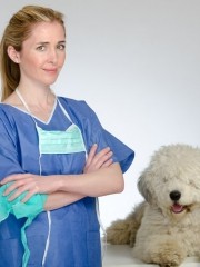 Tierarzt und Tierchirurg Katerine Besserer