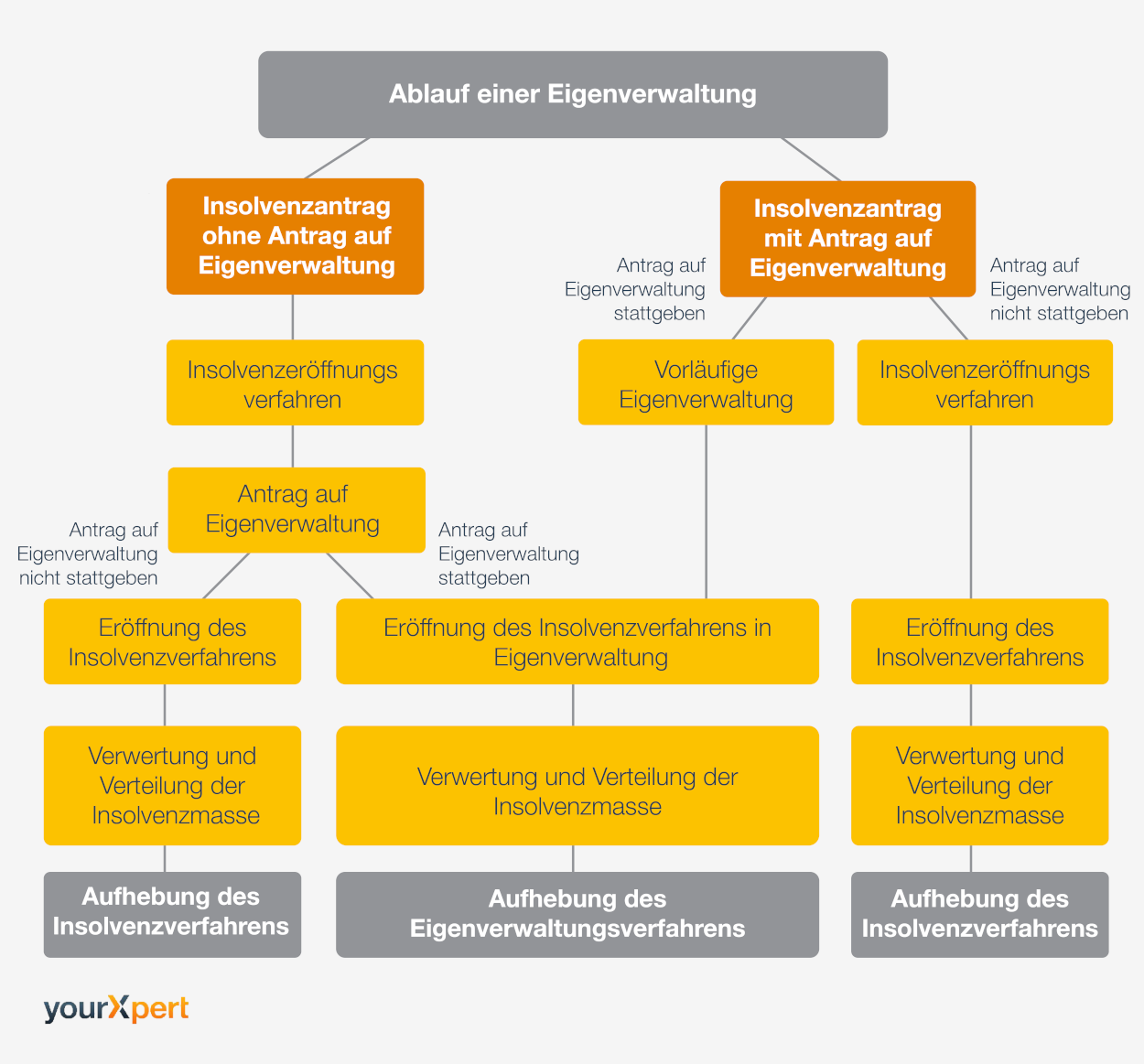 Ablauf eines Insolvenzverfahrens in Eigenverwaltung