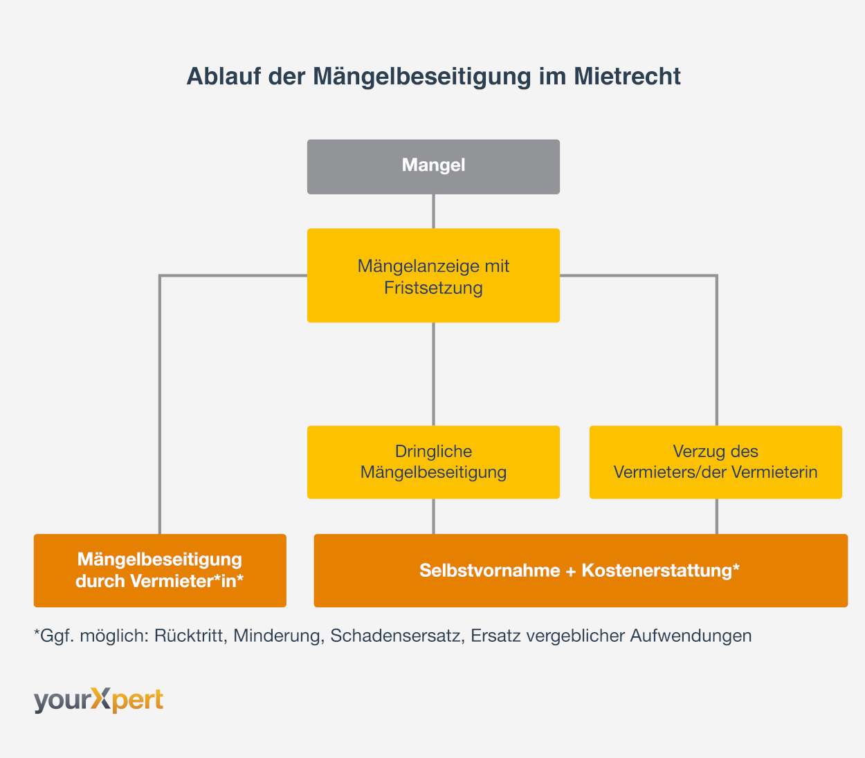 MÃ¤ngelbeseitigung im Mietrecht