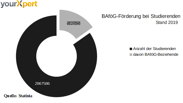 BAfÃ¶G Anteil Studierende 2019