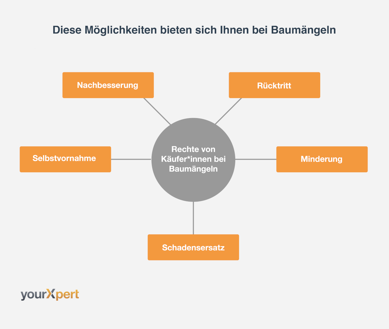 Rechte von KÃ¤ufer*innen bei BaumÃ¤ngeln