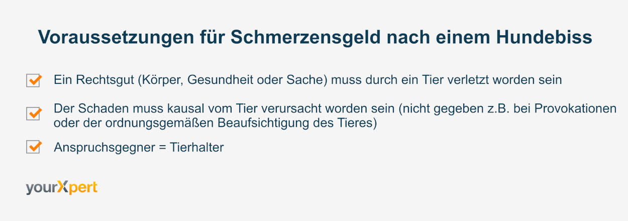 Voraussetzungen fÃ¼r Schmerzensgeld nach einem Hundebiss