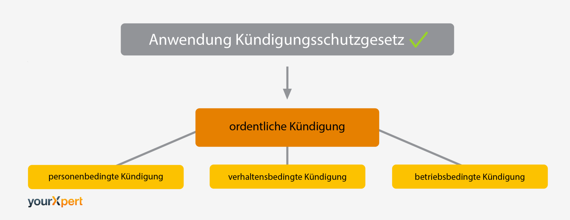 KÃ¼ndigungsschutzgesetz Anwendung