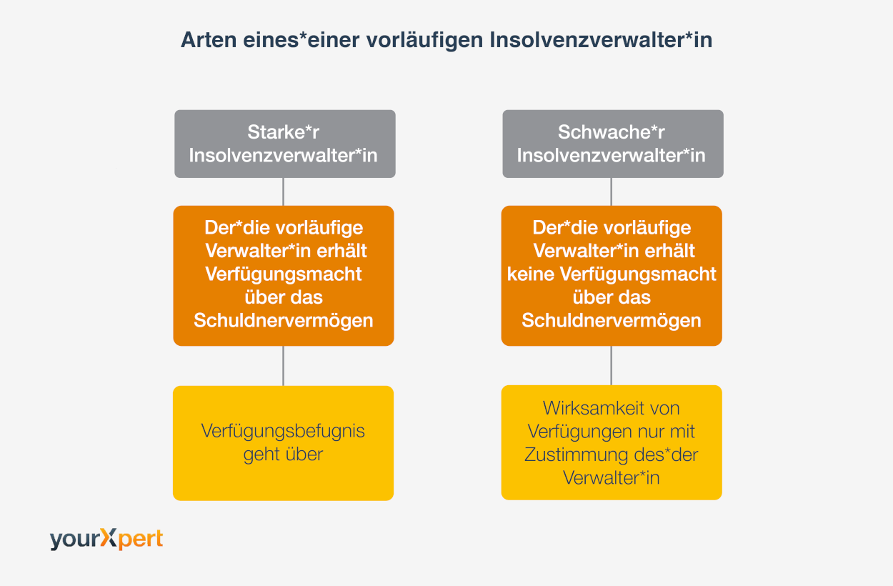 Arten eines*einer vorlÃ¤ufigen Insolvenzverwalter*in